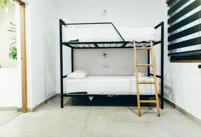 ペンション Moss Colombo