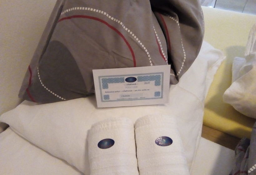 פנסיון Villa Psenek