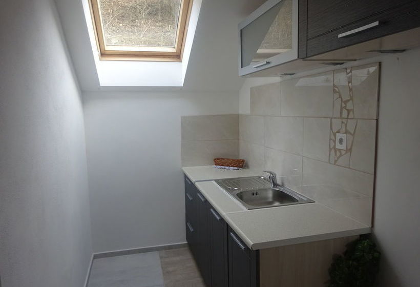 פנסיון Villa Psenek