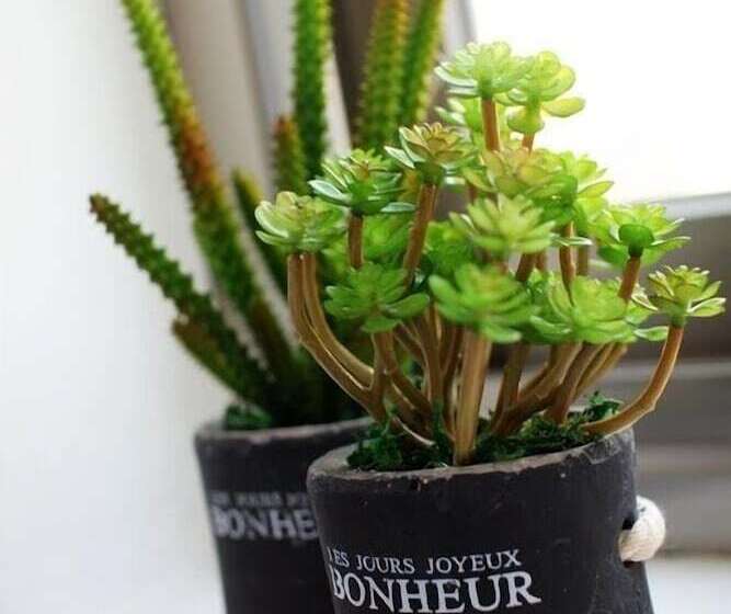 پانسیون Welcome Busan Guesthouse