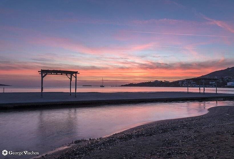 Sea View Studios