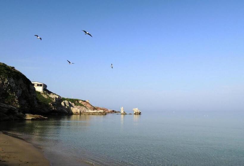 Terrasole Bakery B&b