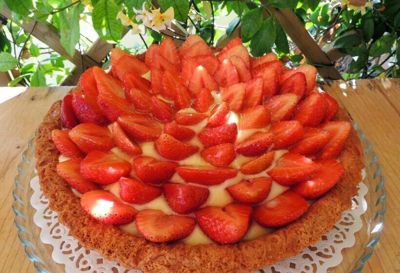 Terrasole Bakery B&b