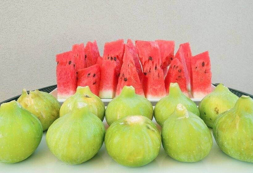 Terrasole Bakery B&b