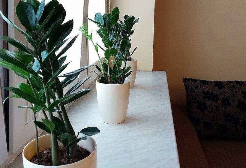 Warsaw Modlin Airport Apartment