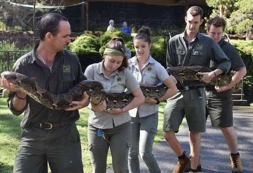 Base Holidays   Ettalong Beach Premium Apartments