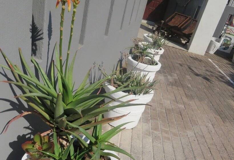 Bed and Breakfast Beachcomber Bay Guest House In South Africa