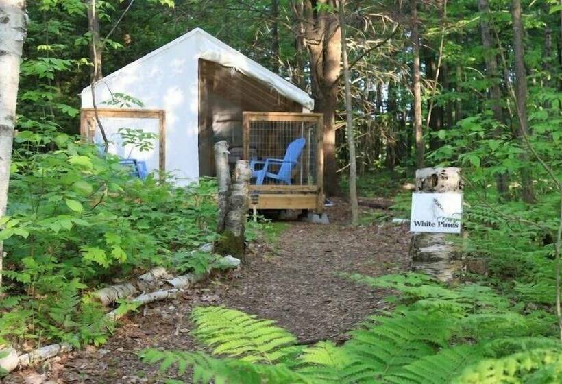 مبيت وإفطار Harmony Outdoor Inn