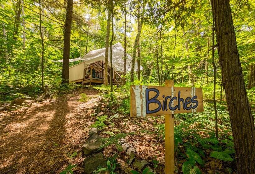 مبيت وإفطار Harmony Outdoor Inn