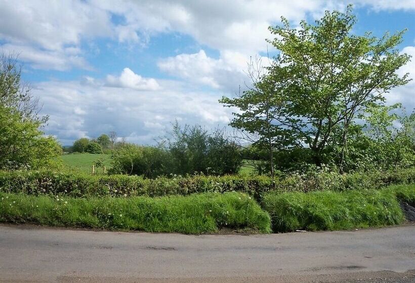 ベッドアンドブレックファースト Lisnafillan Lodge