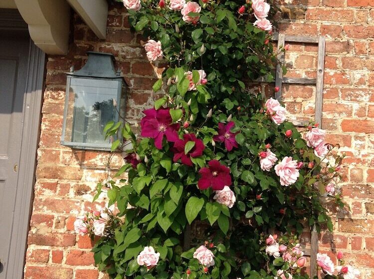 ベッドアンドブレックファースト Saul Farm