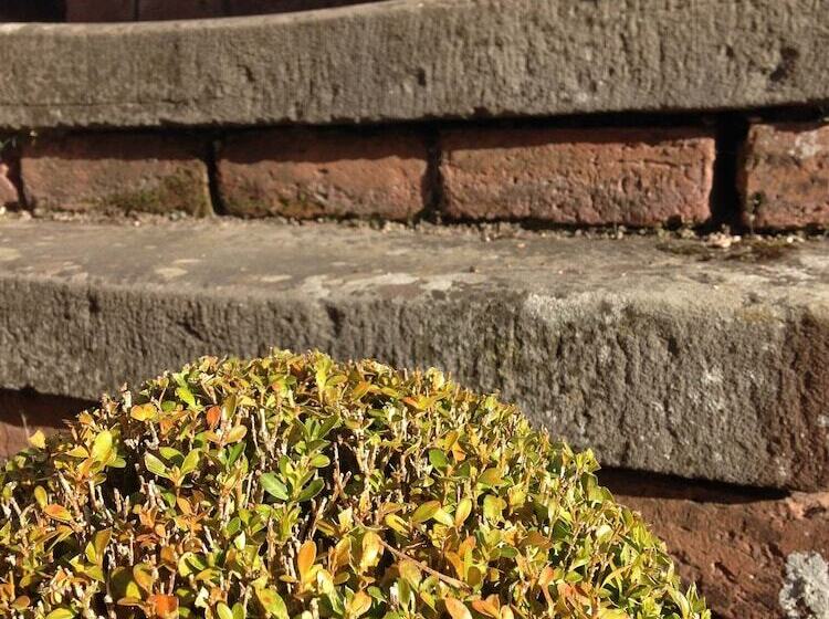 ベッドアンドブレックファースト Saul Farm