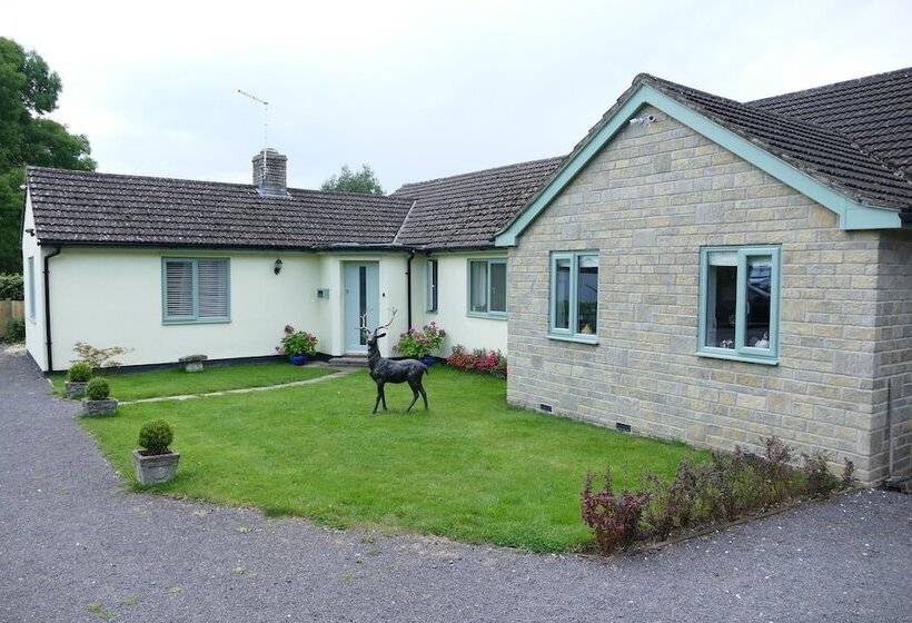 Bed and Breakfast The Willows