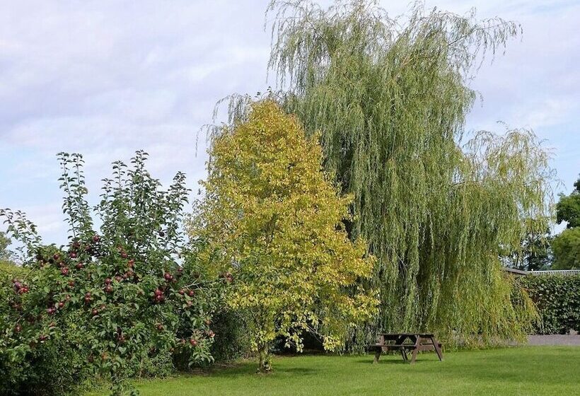 مبيت وإفطار The Willows