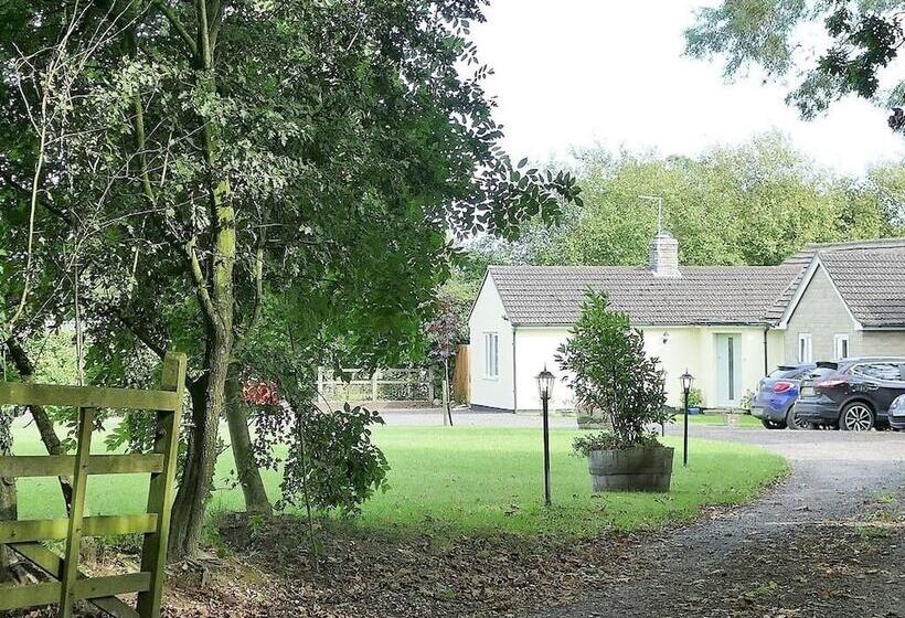 Bed and Breakfast The Willows