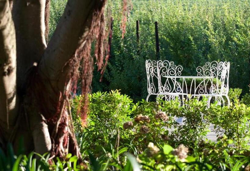 Brenaissance Wine & Stud Estate