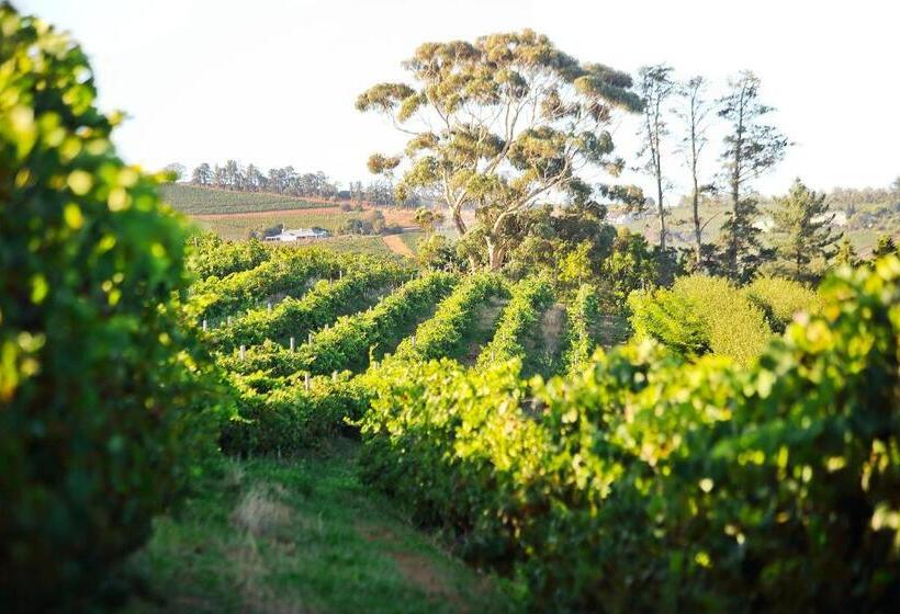 Brenaissance Wine & Stud Estate