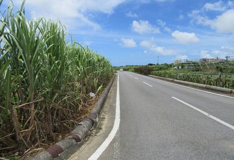 Guest House Diamond   Hostel