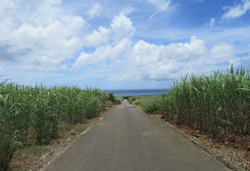 Guest House Diamond   Hostel