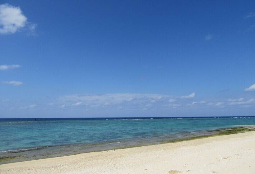 Guest House Diamond   Hostel