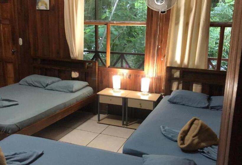 فندق فئة نجمة واحدة Aurora