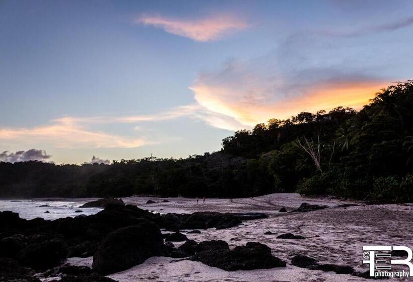 فندق فئة نجمة واحدة Aurora