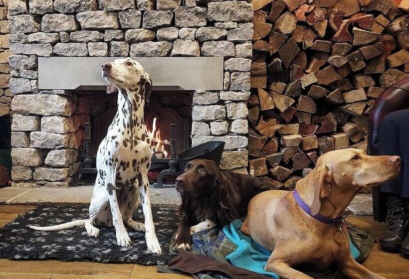 فندق فئة نجمة واحدة The Fleece At Ruleholme