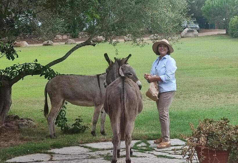 בית מלון כפרי Baia Cea