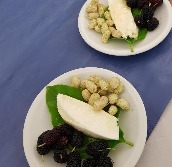 בית מלון כפרי Baia Cea