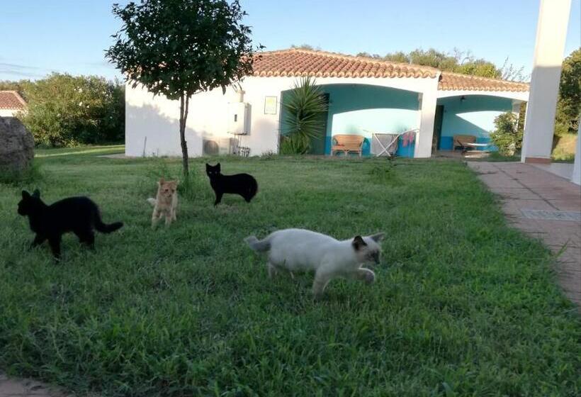 בית מלון כפרי Baia Cea