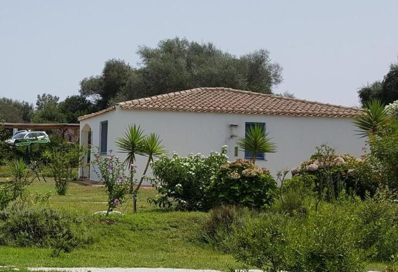 בית מלון כפרי Baia Cea