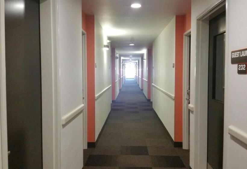 ホテル Baymont By Wyndham Williston