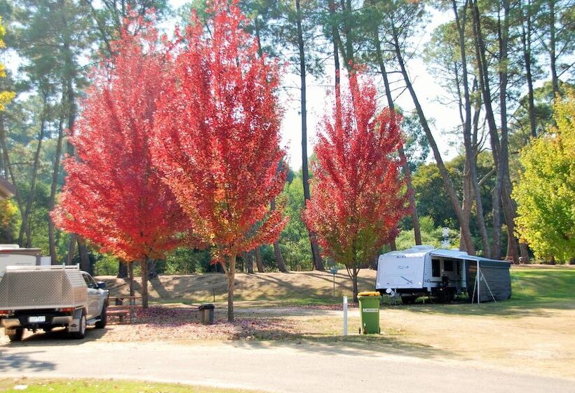 فندق Beechworth Lake Sambell Caravan Park