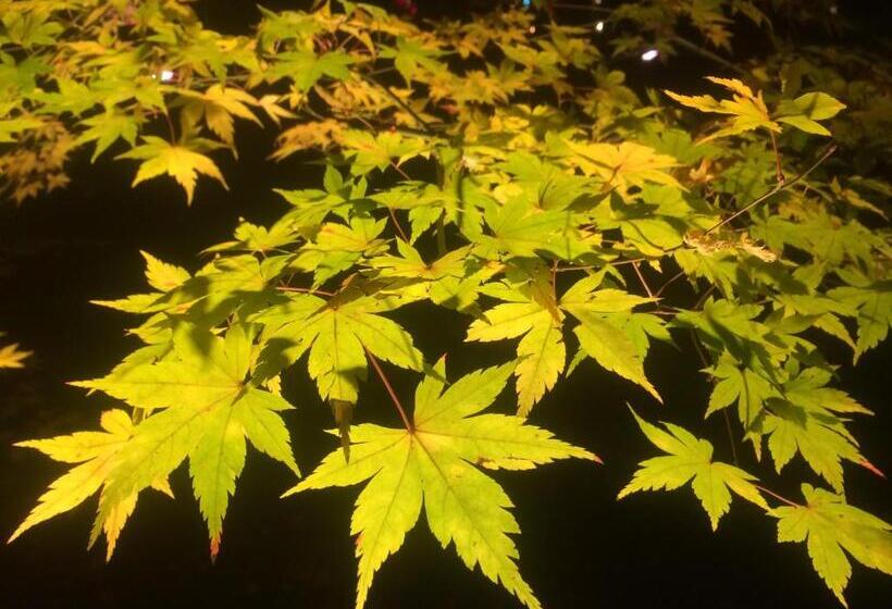 בית מלון כפרי Breezbay Seaside Resort Matsushima