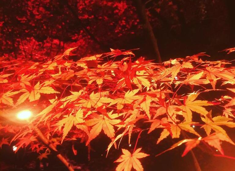 فندق Breezbay Seaside Resort Matsushima