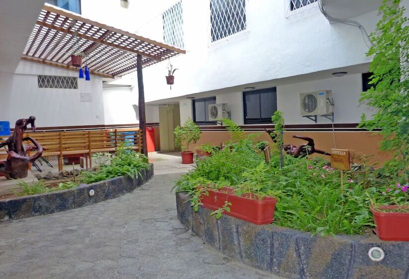 Отель Brisas Del Pacifico