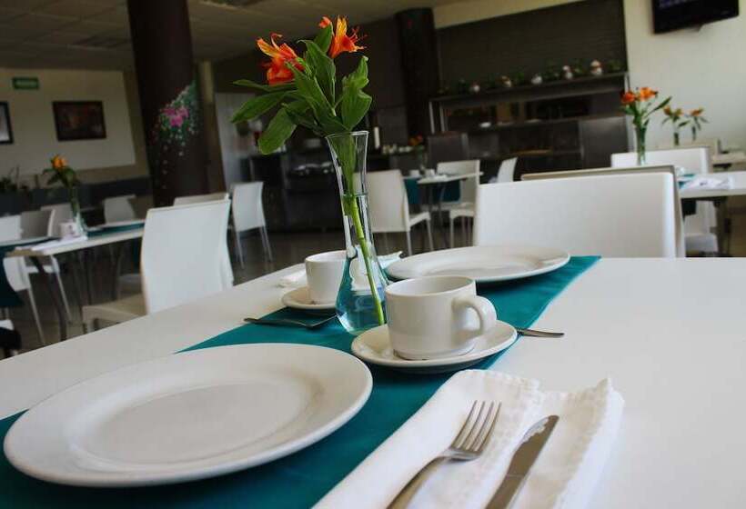 Chiapas Hotel Express