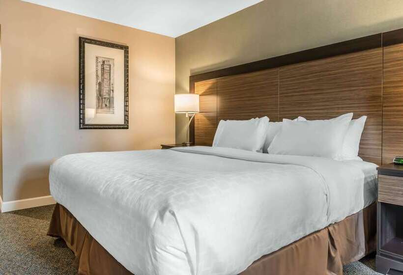 בית מלון כפרי Clarion Inn