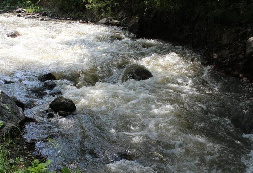 Diligence Hotel & Restaurant