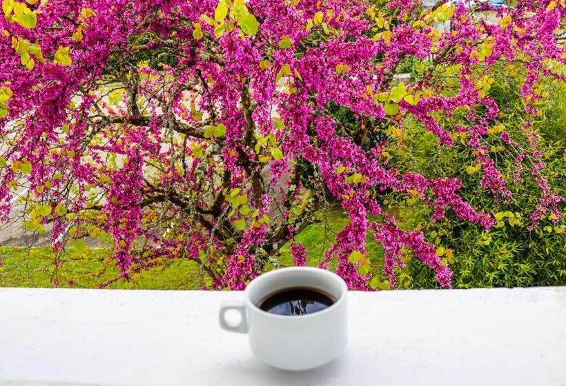 ホテル Eco Sud Agen Autoroute