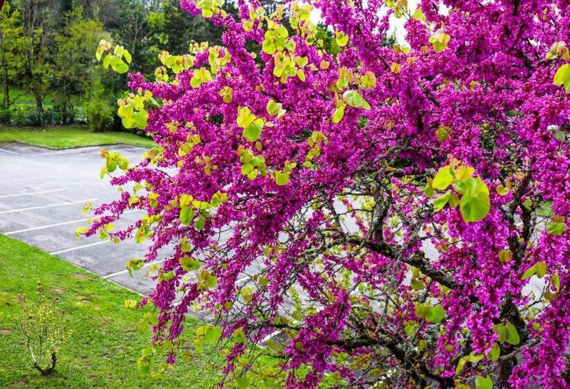 ホテル Eco Sud Agen Autoroute