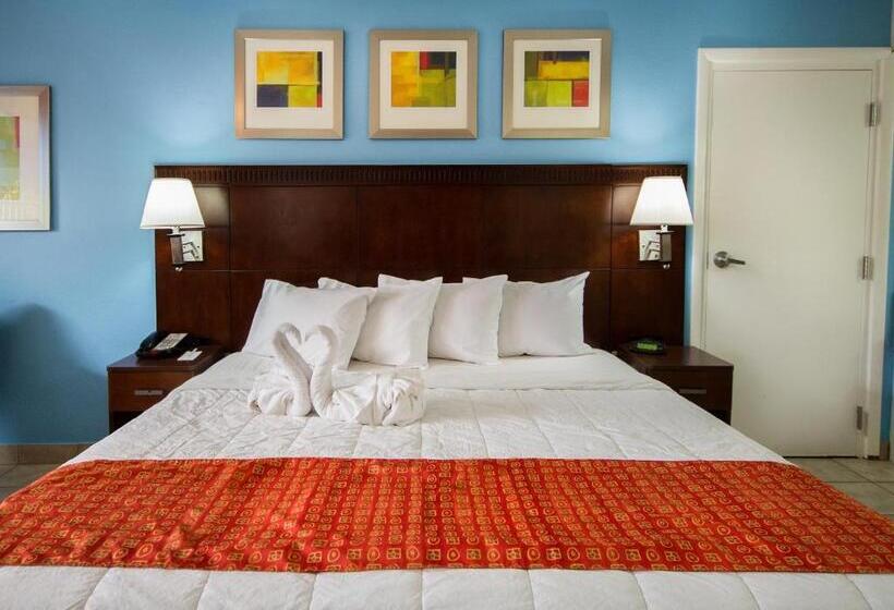 בית מלון כפרי Flamingo Express