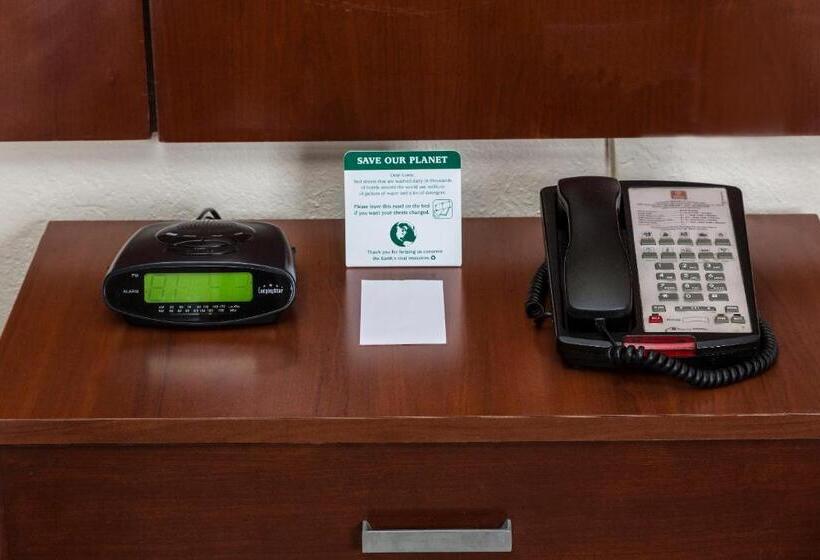 בית מלון כפרי Flamingo Express