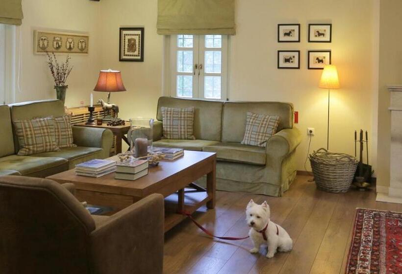 ホテル Gamila Rocks Mountain