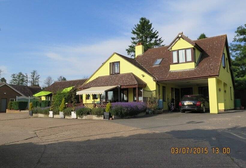 هتل Gosfield Lake Resort