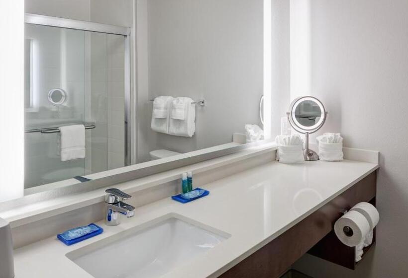 酒店 Holiday Inn Express & Suites   Orlando At Seaworld, An Ihg