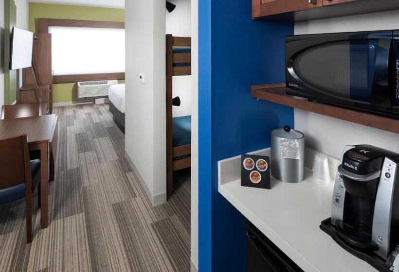 酒店 Holiday Inn Express & Suites   Orlando At Seaworld, An Ihg