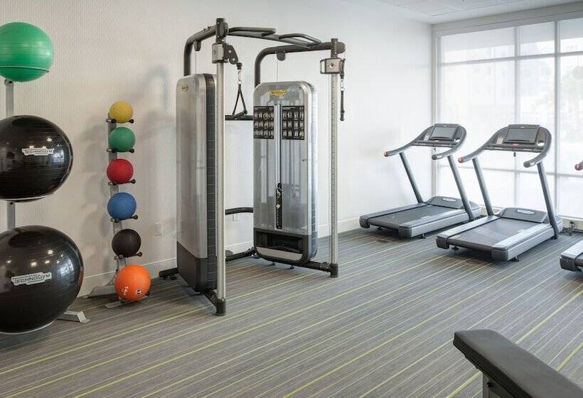 酒店 Holiday Inn Express & Suites   Orlando At Seaworld, An Ihg