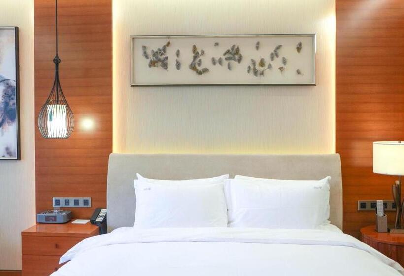 Отель Holiday Inn Nanjing Xuanwu Lake, An Ihg