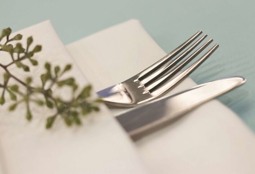 فندق Hyatt Place Chicago Ohare Airport